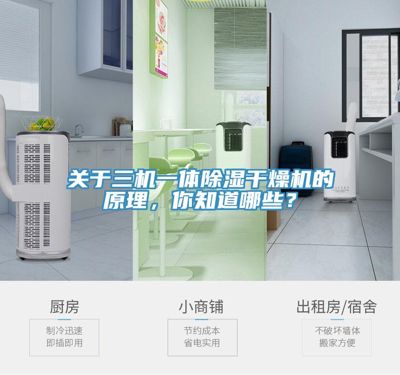 關(guān)于三機(jī)一體除濕干燥機(jī)的原理，你知道哪些？
