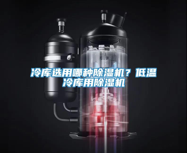 冷庫(kù)選用哪種除濕機(jī)？低溫冷庫(kù)用除濕機(jī)