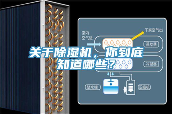 關(guān)于除濕機(jī)，你到底知道哪些？