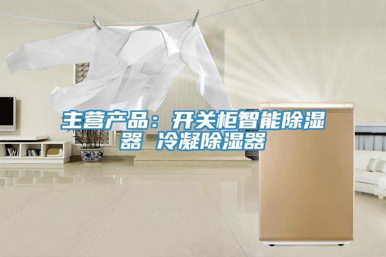 主營(yíng)產(chǎn)品：開關(guān)柜智能除濕器 冷凝除濕器