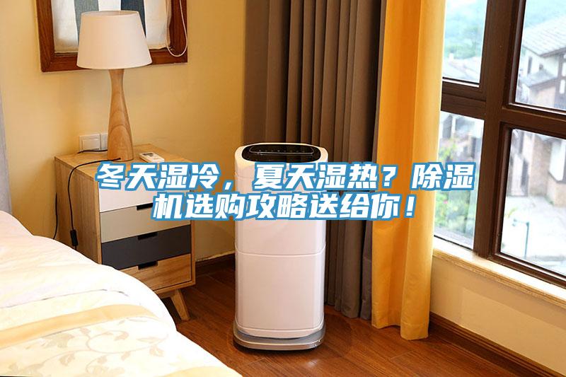冬天濕冷，夏天濕熱？除濕機選購攻略送給你！