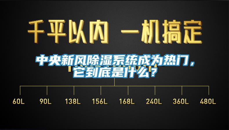 中央新風(fēng)除濕系統(tǒng)成為熱門，它到底是什么？