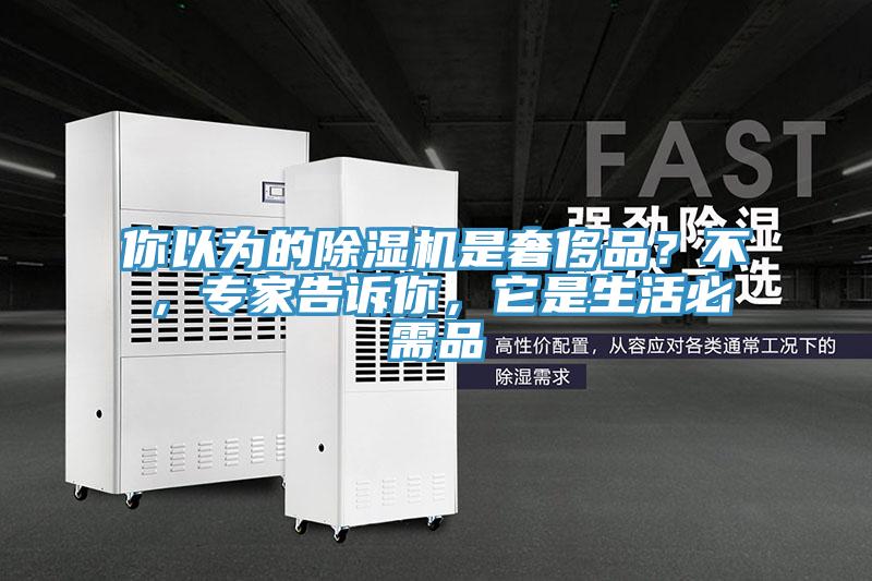 你以為的除濕機是奢侈品？不，專家告訴你，它是生活必需品