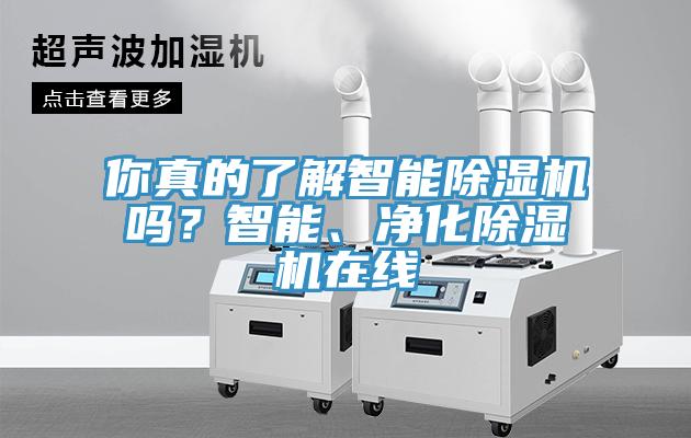 你真的了解智能除濕機嗎？智能、凈化除濕機在線