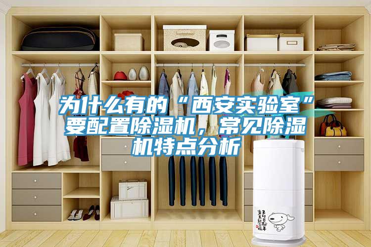 為什么有的“西安實(shí)驗(yàn)室”要配置除濕機(jī)，常見(jiàn)除濕機(jī)特點(diǎn)分析