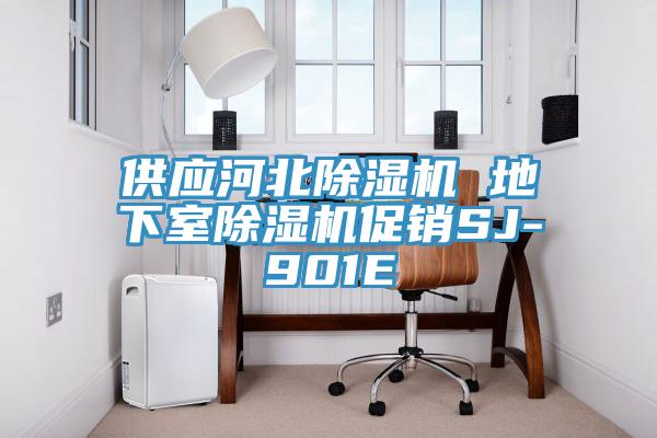 供應(yīng)河北除濕機 地下室除濕機促銷SJ-901E