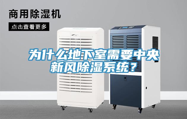 為什么地下室需要中央新風(fēng)除濕系統(tǒng)？