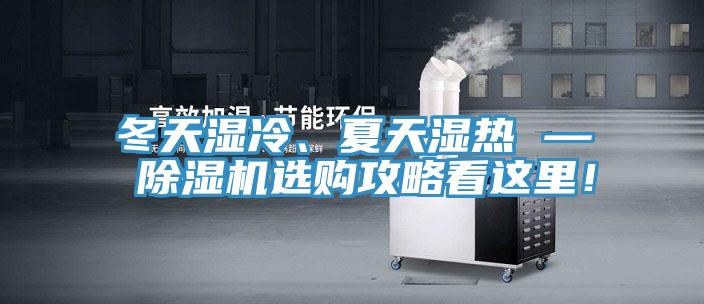 冬天濕冷、夏天濕熱 — 除濕機選購攻略看這里！