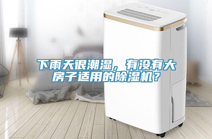 下雨天很潮濕，有沒有大房子適用的除濕機(jī)？
