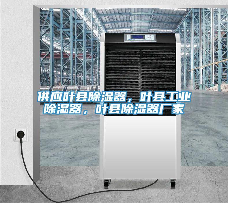 供應(yīng)葉縣除濕器，葉縣工業(yè)除濕器，葉縣除濕器廠家