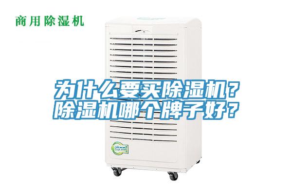 為什么要買除濕機(jī)？除濕機(jī)哪個(gè)牌子好？