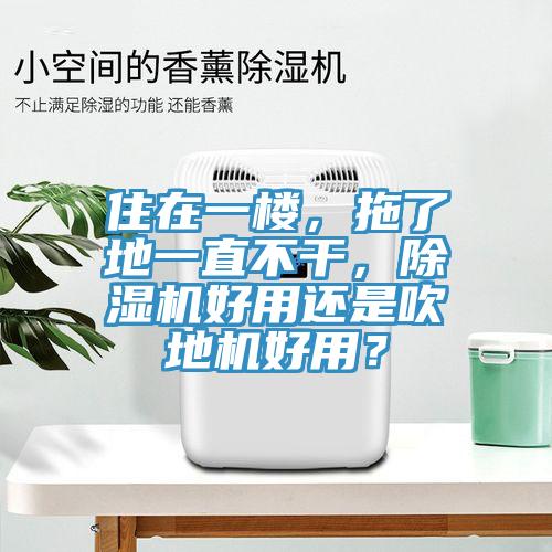 住在一樓，拖了地一直不干，除濕機(jī)好用還是吹地機(jī)好用？