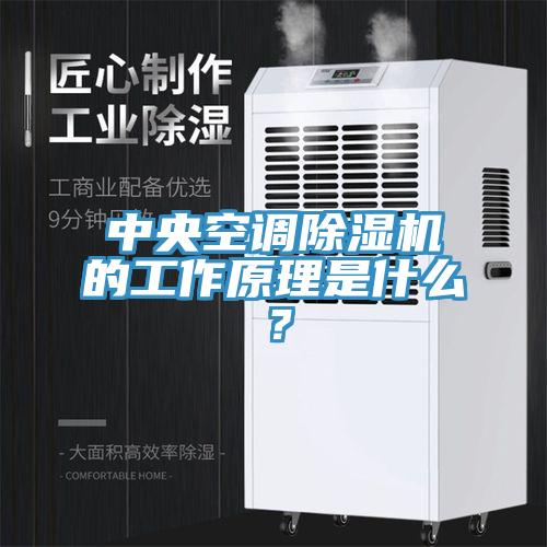 中央空調(diào)除濕機的工作原理是什么？