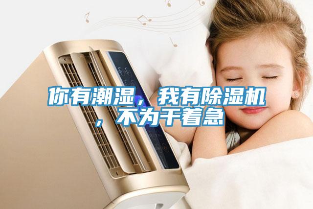 你有潮濕，我有除濕機，不為干著急
