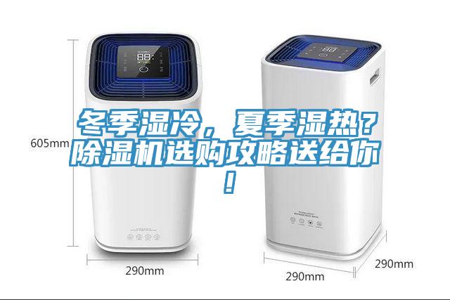 冬季濕冷，夏季濕熱？除濕機選購攻略送給你！