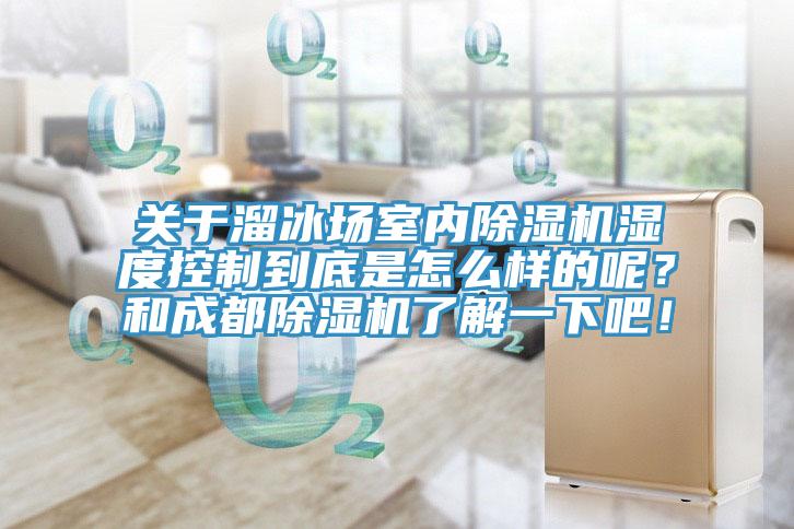 關(guān)于溜冰場室內(nèi)除濕機(jī)濕度控制到底是怎么樣的呢？和成都除濕機(jī)了解一下吧！