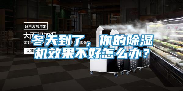 冬天到了，你的除濕機效果不好怎么辦？