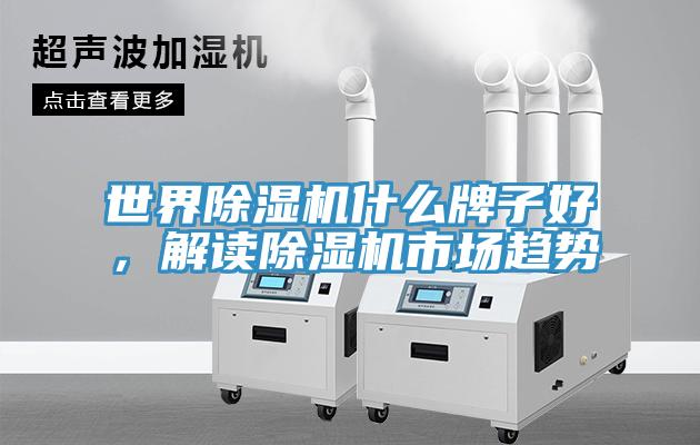 世界除濕機(jī)什么牌子好，解讀除濕機(jī)市場趨勢