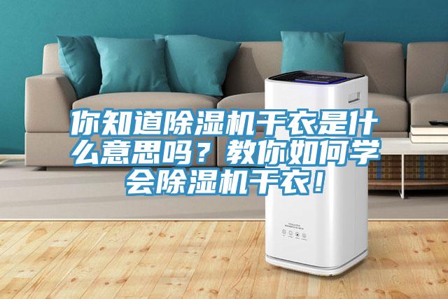 你知道除濕機干衣是什么意思嗎？教你如何學會除濕機干衣！
