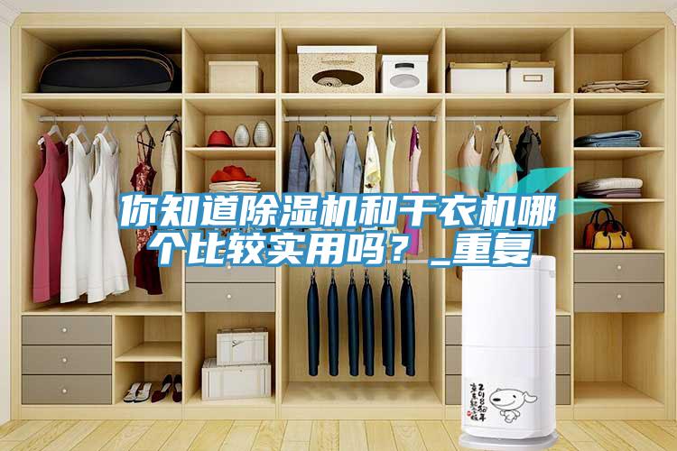 你知道除濕機和干衣機哪個比較實用嗎？_重復