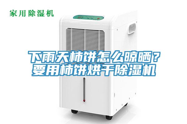 下雨天柿餅怎么晾曬？要用柿餅烘干除濕機(jī)