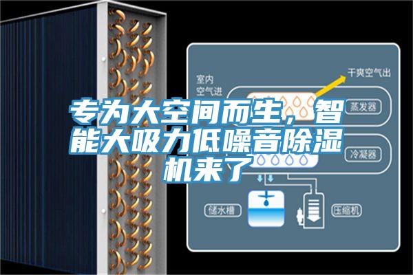 專為大空間而生，智能大吸力低噪音除濕機(jī)來了