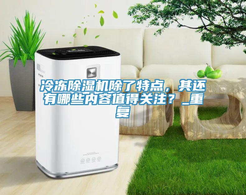 冷凍除濕機(jī)除了特點(diǎn)，其還有哪些內(nèi)容值得關(guān)注？_重復(fù)