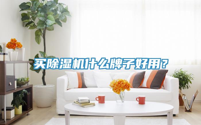 買除濕機什么牌子好用？