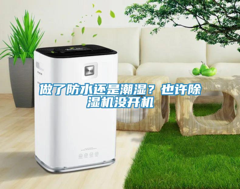 做了防水還是潮濕？也許除濕機沒開機