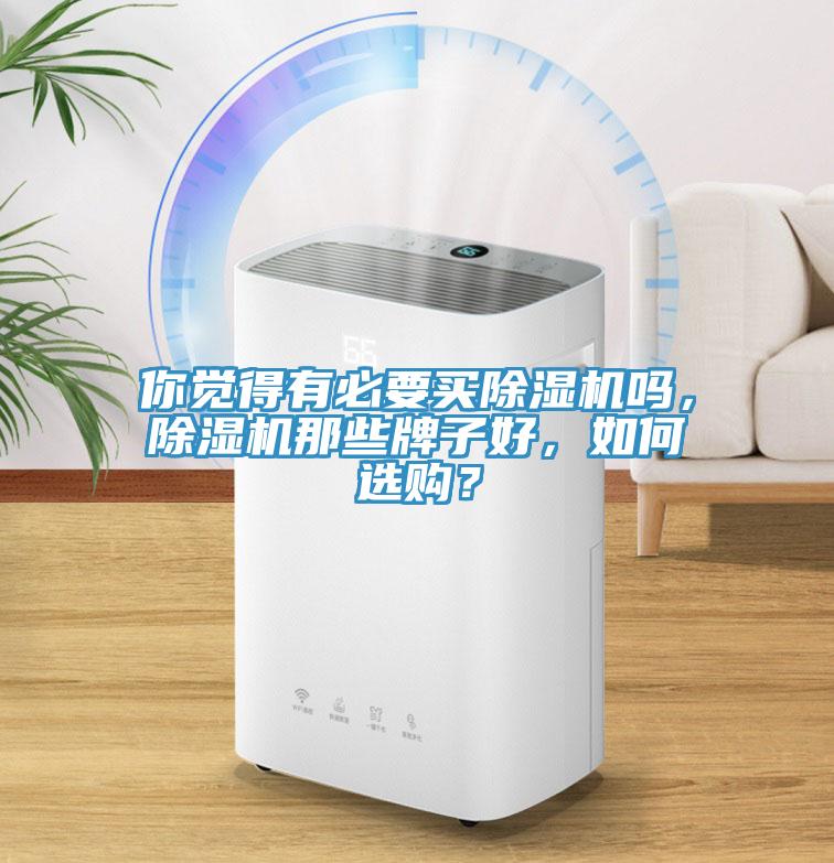 你覺得有必要買除濕機嗎，除濕機那些牌子好，如何選購？