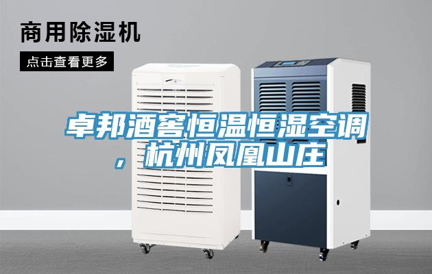 卓邦酒窖恒溫恒濕空調，杭州鳳凰山莊