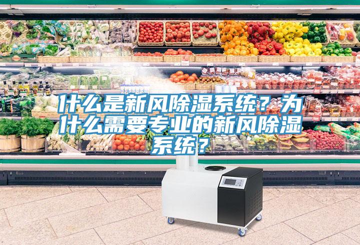 什么是新風(fēng)除濕系統(tǒng)？為什么需要專業(yè)的新風(fēng)除濕系統(tǒng)？