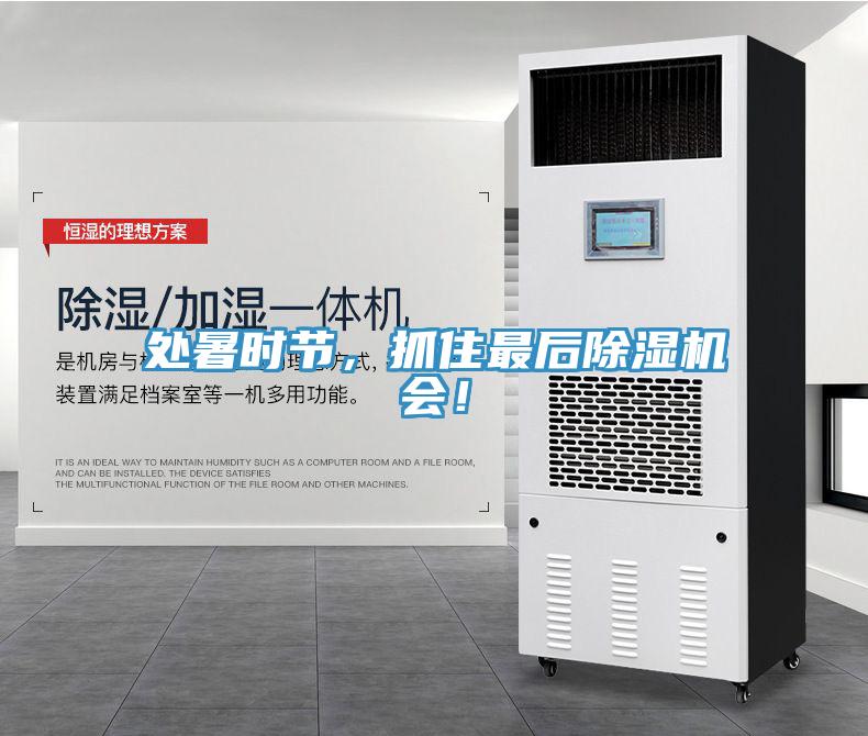 處暑時節，抓住最后除濕機會！