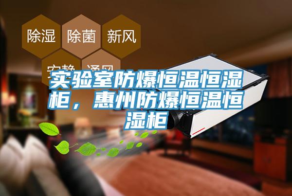 實驗室防爆恒溫恒濕柜，惠州防爆恒溫恒濕柜