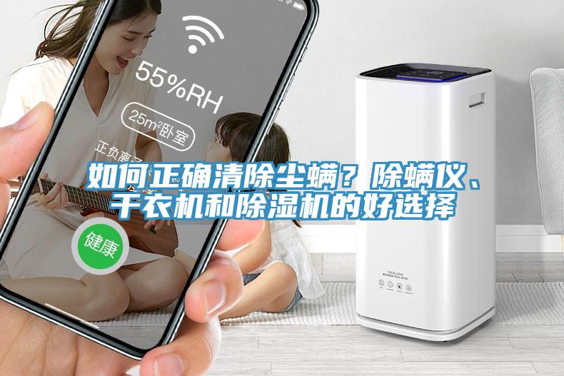 如何正確清除塵螨？除螨儀、干衣機和除濕機的好選擇
