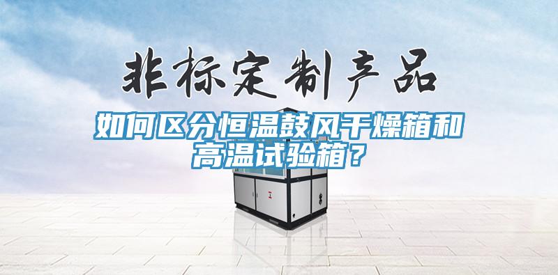 如何區(qū)分恒溫鼓風干燥箱和高溫試驗箱？