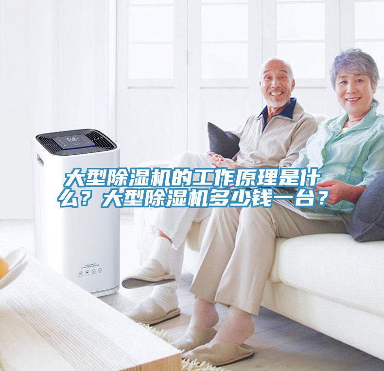 大型除濕機(jī)的工作原理是什么？大型除濕機(jī)多少錢(qián)一臺(tái)？