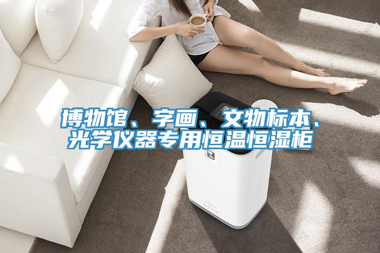 博物館、字畫、文物標本、光學儀器專用恒溫恒濕柜