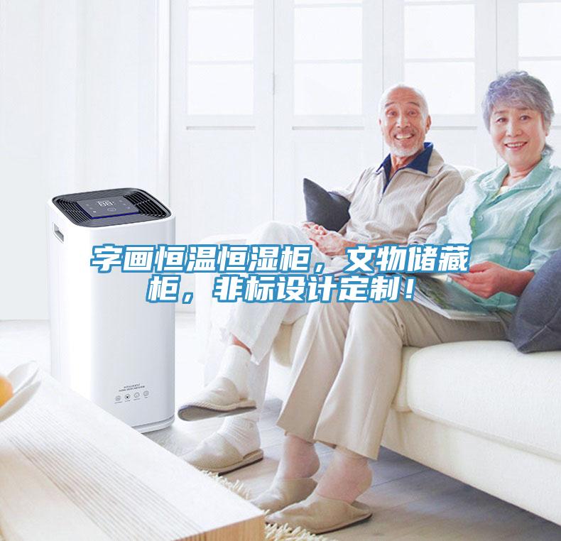 字畫恒溫恒濕柜，文物儲藏柜，非標設計定制！