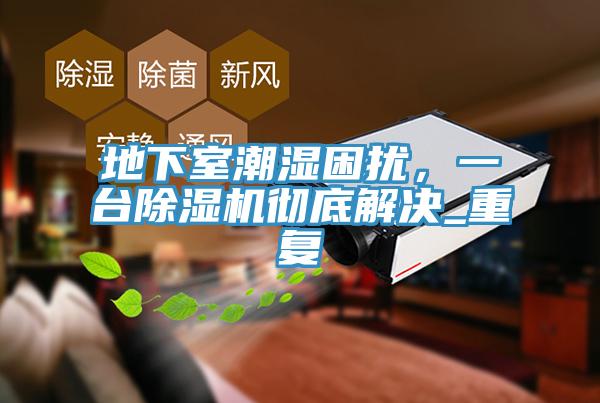 地下室潮濕困擾，一臺除濕機徹底解決_重復(fù)