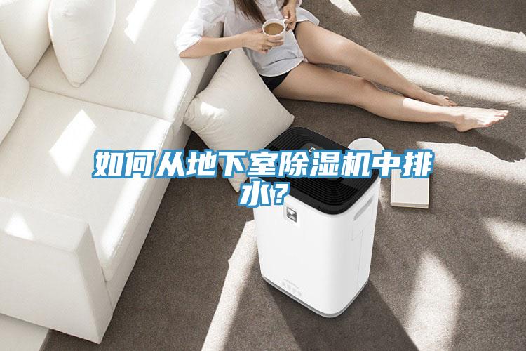 如何從地下室除濕機中排水？
