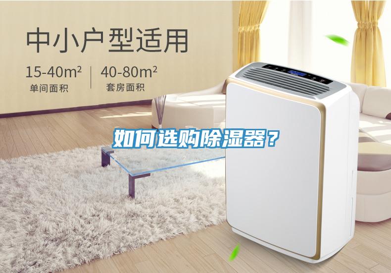 如何選購除濕器？