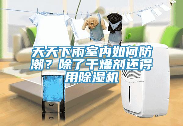 天天下雨室內如何防潮？除了干燥劑還得用除濕機