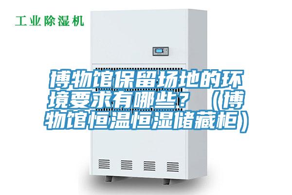 博物館保留場地的環境要求有哪些？（博物館恒溫恒濕儲藏柜）