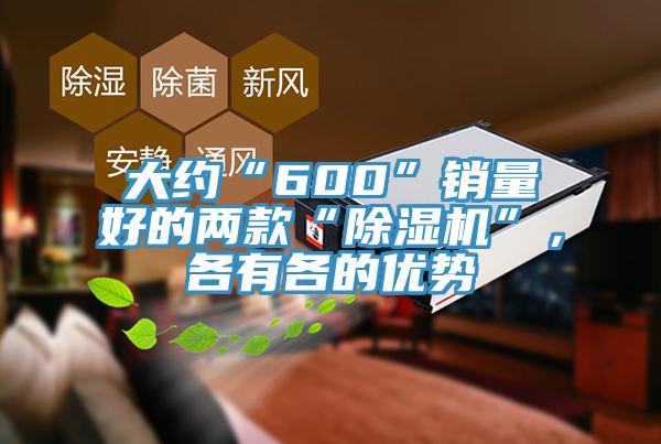 大約“600”銷(xiāo)量好的兩款“除濕機(jī)”，各有各的優(yōu)勢(shì)