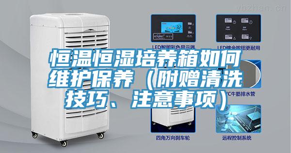 恒溫恒濕培養(yǎng)箱如何維護(hù)保養(yǎng)（附贈(zèng)清洗技巧、注意事項(xiàng)）