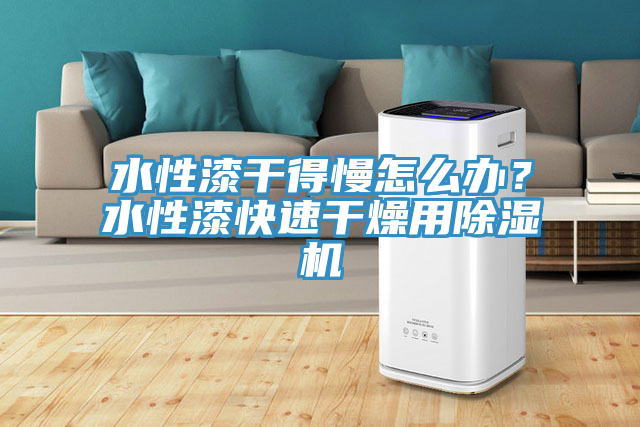 水性漆干得慢怎么辦？水性漆快速干燥用除濕機