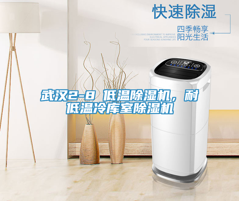 武漢2-8℃低溫除濕機，耐低溫冷庫室除濕機