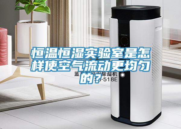 恒溫恒濕實驗室是怎樣使空氣流動更均勻的？