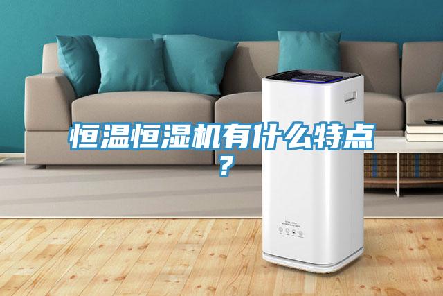 恒溫恒濕機(jī)有什么特點(diǎn)？